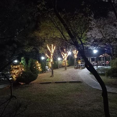 Chamjoeun Pension Chech'ŏn Exterior foto