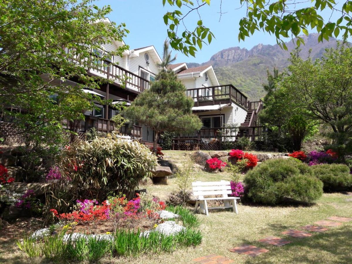 Chamjoeun Pension Chech'ŏn Exterior foto